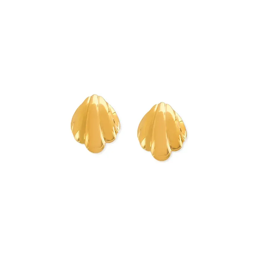 Shell Earrings Water Resistant